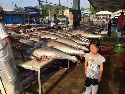 Gensan Tuna on the Market